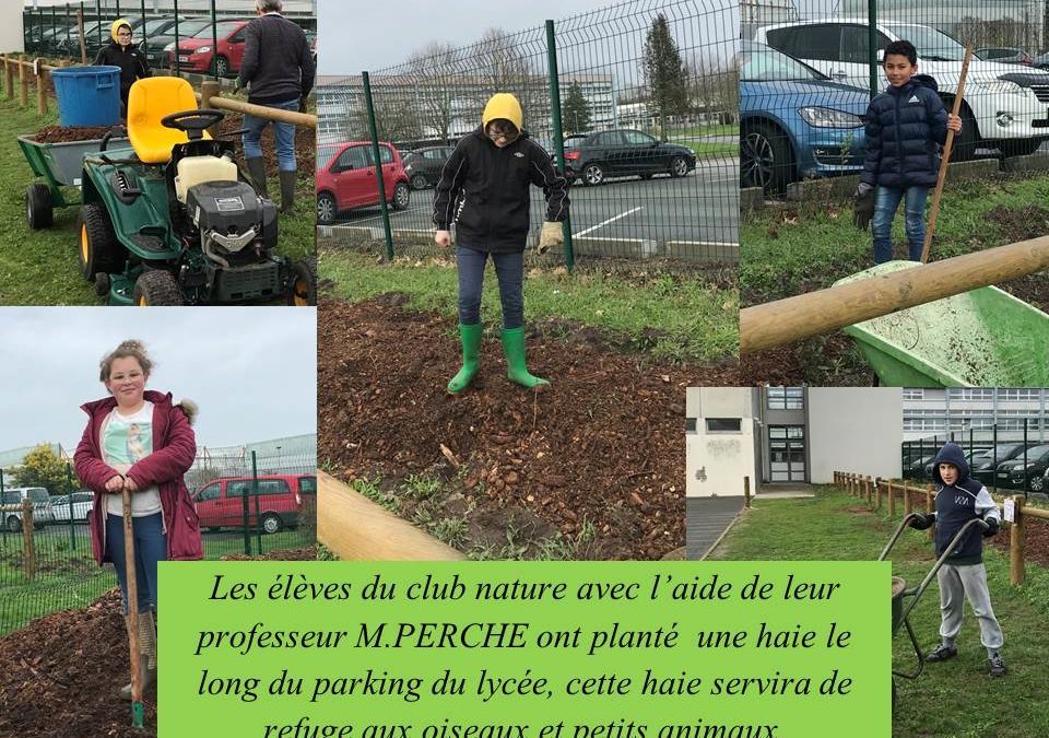 Plantation d’une haie par le club nature